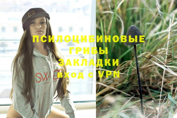 ПСИЛОЦИБИНОВЫЕ ГРИБЫ Остров