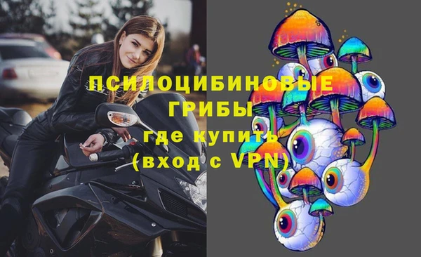 ПСИЛОЦИБИНОВЫЕ ГРИБЫ Остров