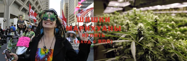ПСИЛОЦИБИНОВЫЕ ГРИБЫ Остров