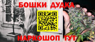 молекула духа Новозыбков