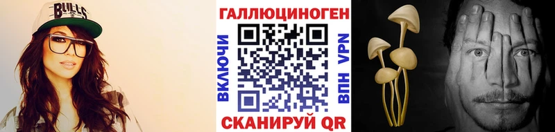 цена   OMG tor  Галлюциногенные грибы мицелий  Тара 