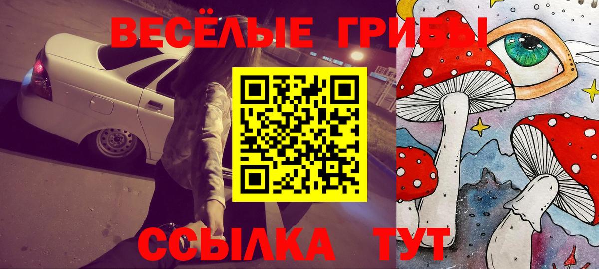 Тара  Галлюциногенные грибы мицелий  Вход с VPN 